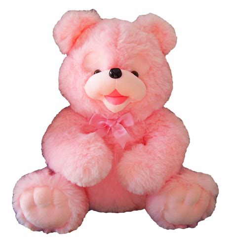 Download Pink Teddy Bear PNG Image for Free