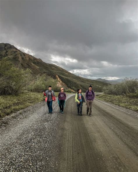 Denali National Park: Ultimate Guide to Hiking, Camping and Wildlife ...