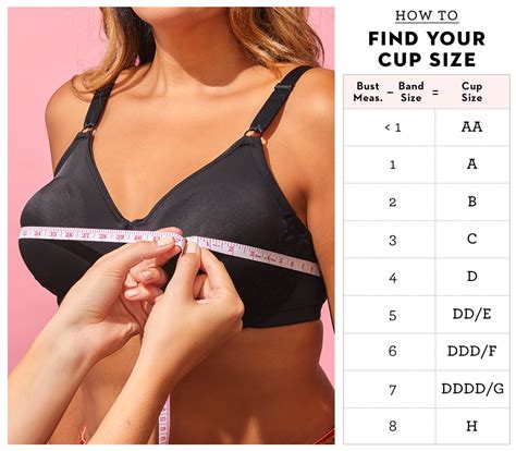 Bra Cup Size Chart Inches