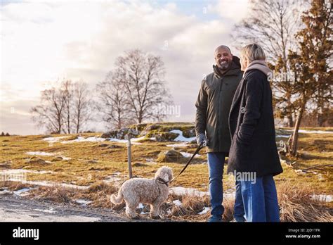 Couple walking with dog Stock Photo - Alamy