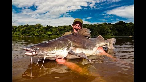 Trailer for "Crazy for Laulau" (Piraiba fishing in Suriname) - YouTube