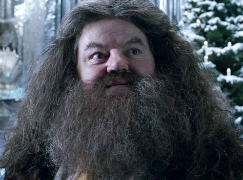 Hagrid Hospitalized! Harry Potter Actor Robbie Coltrane Taken to ...