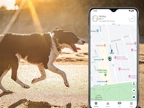 V-Pet Tracker: pet tracker with GPS tracking - V by Vodafone | Pet tracker, Pet gps, Pets