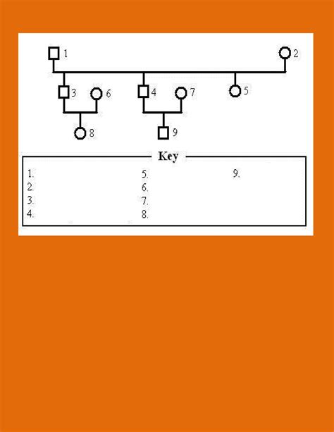 30 Free Genogram Templates & Symbols ᐅ TemplateLab