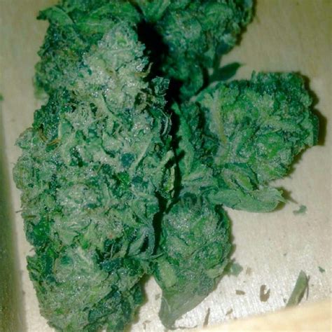 Bubble Gum aka Bubba Gum Weed Strain Information | Leafly