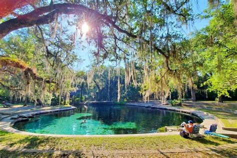 Best Ocala National Forest springs (prettiest springs!) 🌴 swimming ...