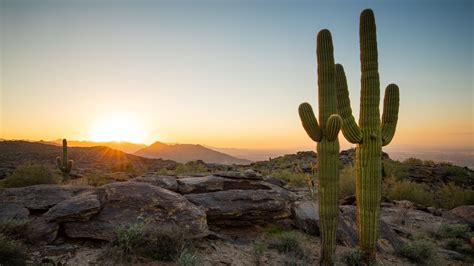 Vacation Homes near South Mountain Park, Ahwatukee Foothills: House ...