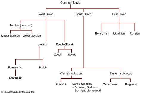 Slavic languages | List, Definition, Origin, Map, Tree, History ...