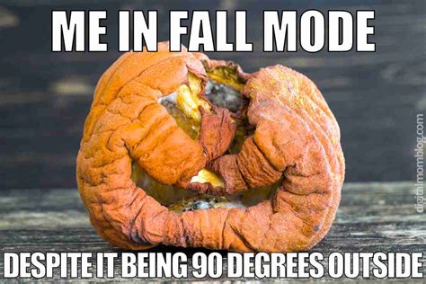 50 Best Fall Memes 2024 To Celebrate The Autumn Season