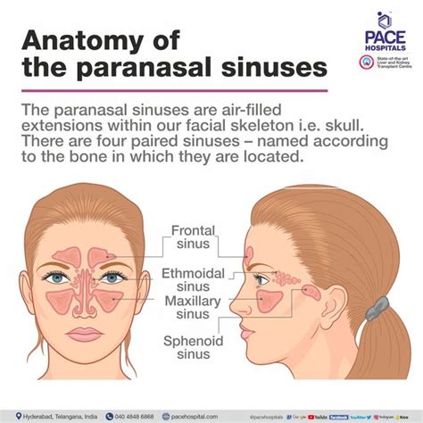 Sinusitis Types, Causes, Symptoms, Complications And Treatment | atelier-yuwa.ciao.jp