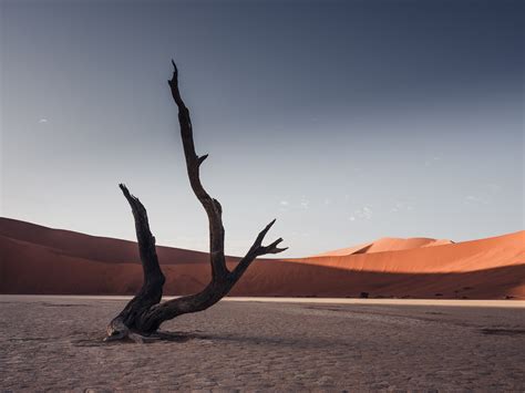 Lavemedia - Deadvlei, Namibia – Landscape photography