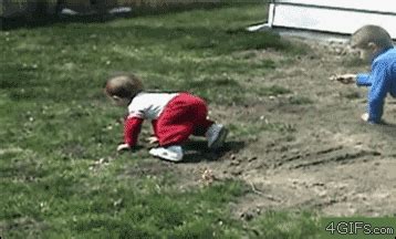 Animals vs. Small Children: A Funny GIF Collection - Ruin My Week