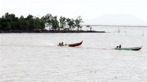 Mui Ca Mau National Park is recognized as a Ramsar site