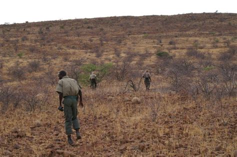 Help Protect Free-Roaming Black Rhino in Namibia - GlobalGiving