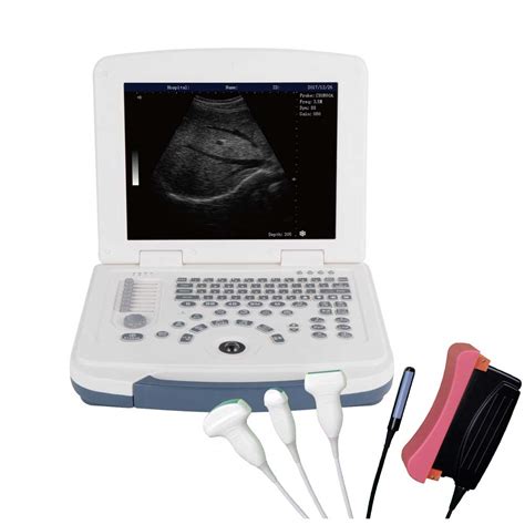 Ultrasound Machine for Animals