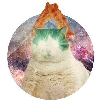 Cat Laser Beams Gif - The Best Picture Of Beam