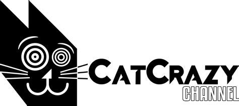 CatCrazy Channel - Top 10 — Frame Your Feline