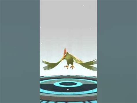 Pokémon GO: Shiny Spearow Evolution - YouTube