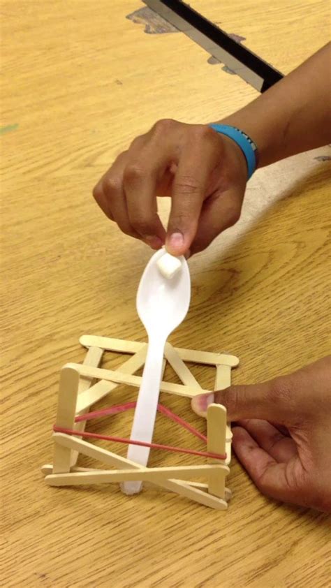 58 Best images about Catapult on Pinterest | Science activities, Wooden ...