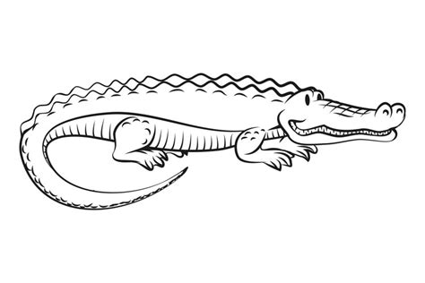 Alligator drawing. Hand drawn crocodile. Funny animal