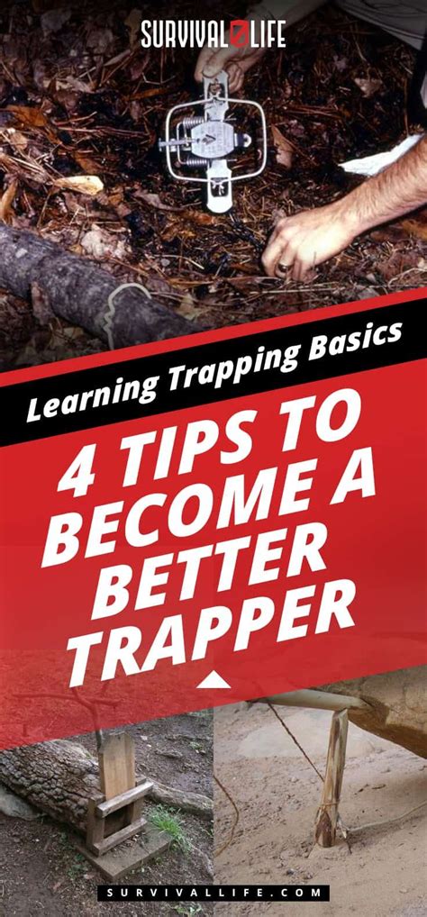 4 Tips To Become A Better Trapper | Learning Trapping Basics | Survival ...