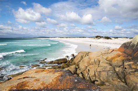 10 Beautiful Beaches In Tasmania To Visit In 2024