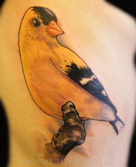 goldfinch | Tattoos, Birds tattoo, Paradise tattoo