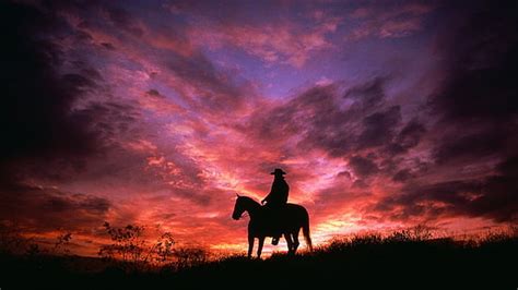 HD wallpaper: 4K, Horses, Silhouette, Cowboy, Sunset | Wallpaper Flare