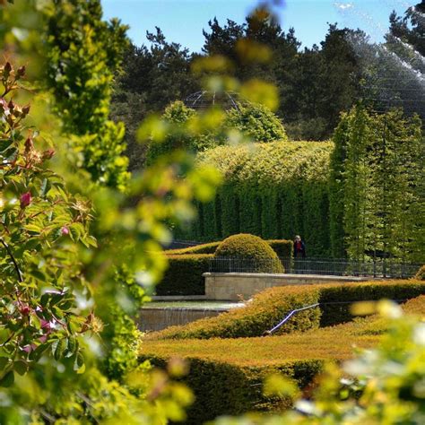 Alnwick Castle Gardens