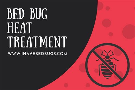 Bed Bug heat treatment [Cost, Success Rate, DIY, Preparation & More]