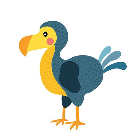 Dodo Illustrations, Royalty-Free Vector Graphics & Clip Art - iStock