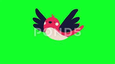 73 Background Green Screen Cartoon free Download - MyWeb