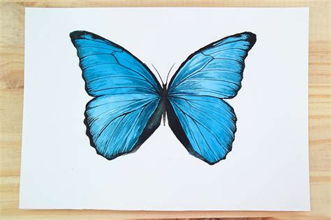 Easy Watercolor Paintings Of Butterflies