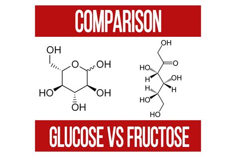 Simple Sugar Comparison: Glucose and Fructose - N1 Training