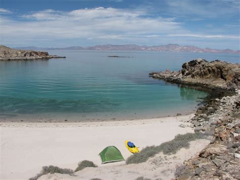 Flattening the Curve in Bahía de los Ángeles - Discover Baja Travel Club