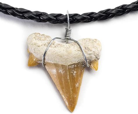 Amazon.com: KALIFANO Fossilized Shark Tooth Necklace - Authentic Prehistoric Shark Teeth Fossil ...