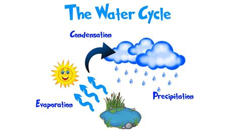 All Water Cycle Stages