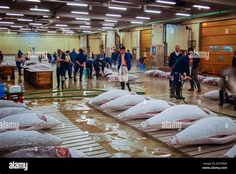 Tuna auction, Tsukiji Fish Market, Tokyo, Japan Stock Photo - Alamy