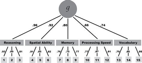 neuroscience - How is the g-factor of intelligence calculated ...