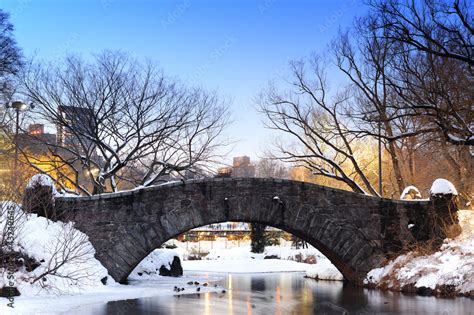 New York City Central Park bridge in winter Stock Photo | Adobe Stock