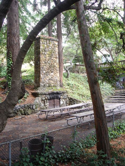 Live Oak Park, berkeley, United States Of America - Top Attractions, Things to Do & Activities ...