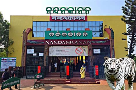 Nandankanan zoological park - One of the best & first zoos in India.