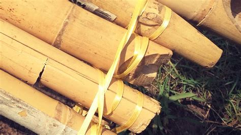 Home made bamboo raft