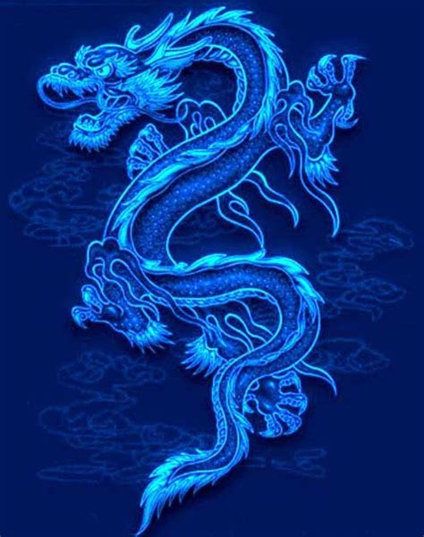 Acupuncture Category of the Maui Health Network | Blue dragon, Dragon ...