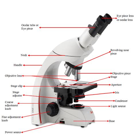 FUNCTIONS OF THE PARTS OF A MICROSCOPE - #1 Microbiology Resource Hub