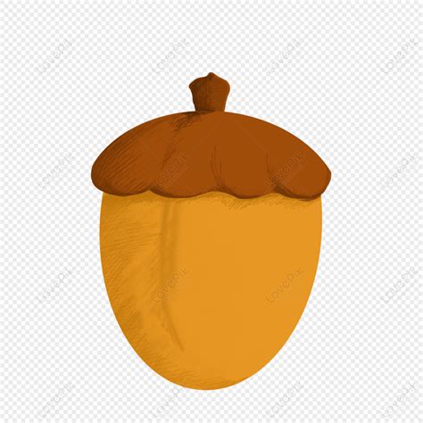 Hazelnut Acorn Fruit, Dark Light, Light Yellow, Cartoon Yellow PNG White Transparent And Clipart ...