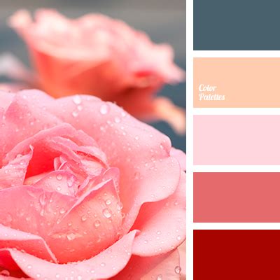crimson-red | Color Palette Ideas