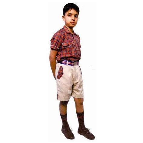 DAV COLOR Summer DAV SCHOOL UNIFORM, Size: Meduam at Rs 450/piece in Faridabad