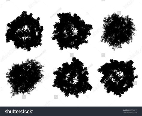 39,927 Tree Silhouette Top View Images, Stock Photos & Vectors ...