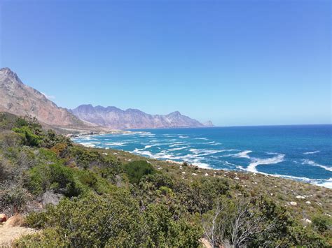 Gansbaai - Alluring Beauty and Adventures - Cape Tourism